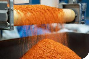 Drying Process