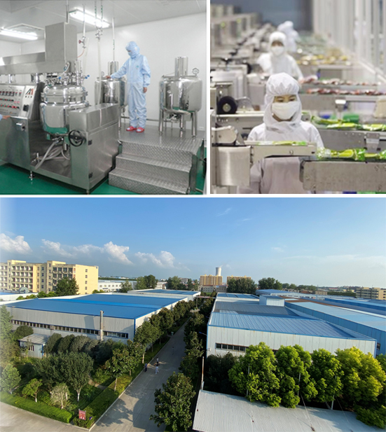 dehydrated-vegetables-factory