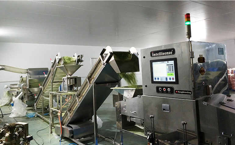 dehydrated vegetables factory production cost control