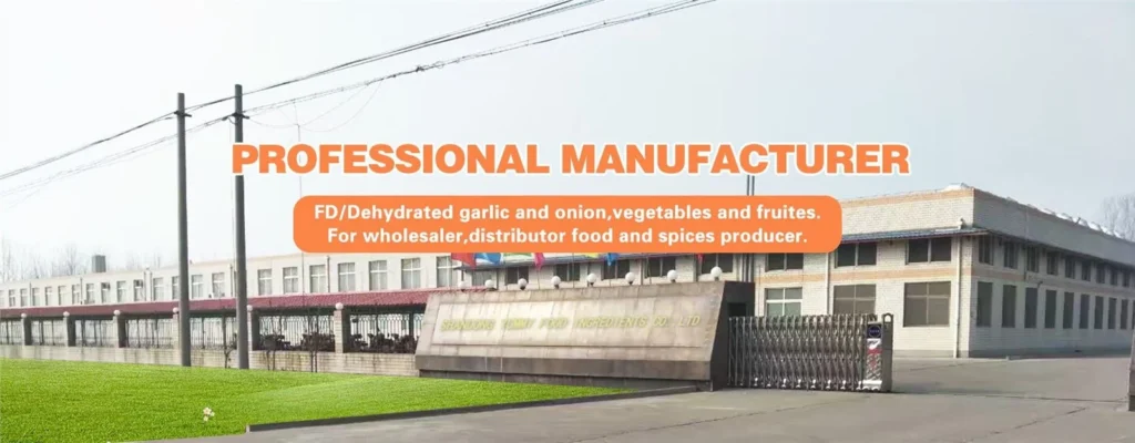 dehydrated-vegetables-factory-china