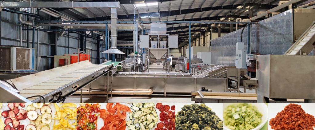 dehydrated vegetables processing quality control