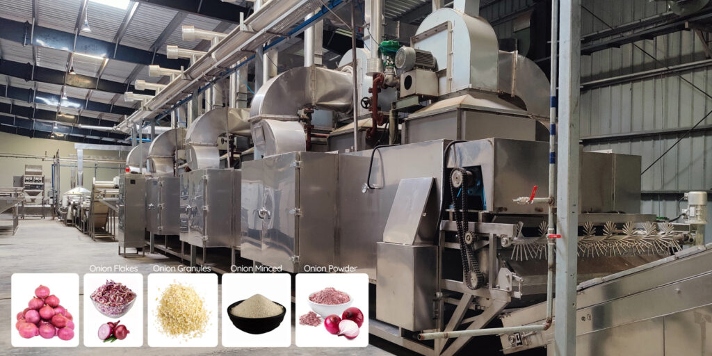 vegetable harvesting and raw material selection for dehydration