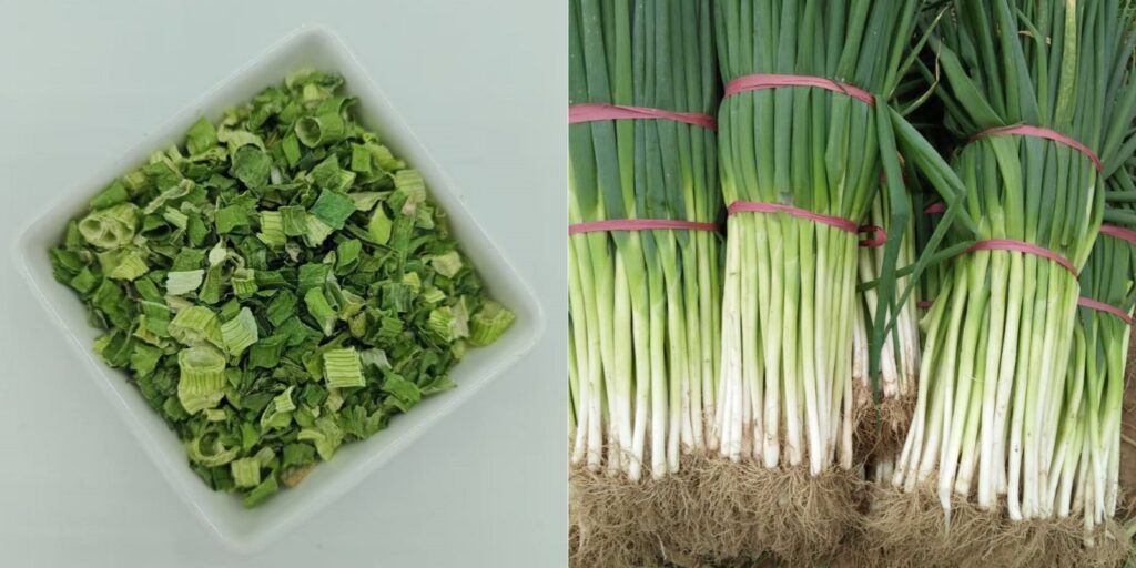 fresh vegetables vs dehydrated vegetables storage comparison