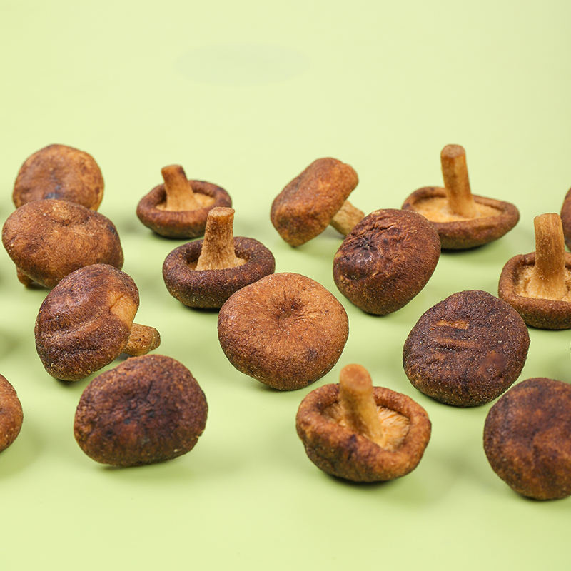 Vacuum fried shiitake mushroom cap close up, natural earthy brown color and detailed surface texture