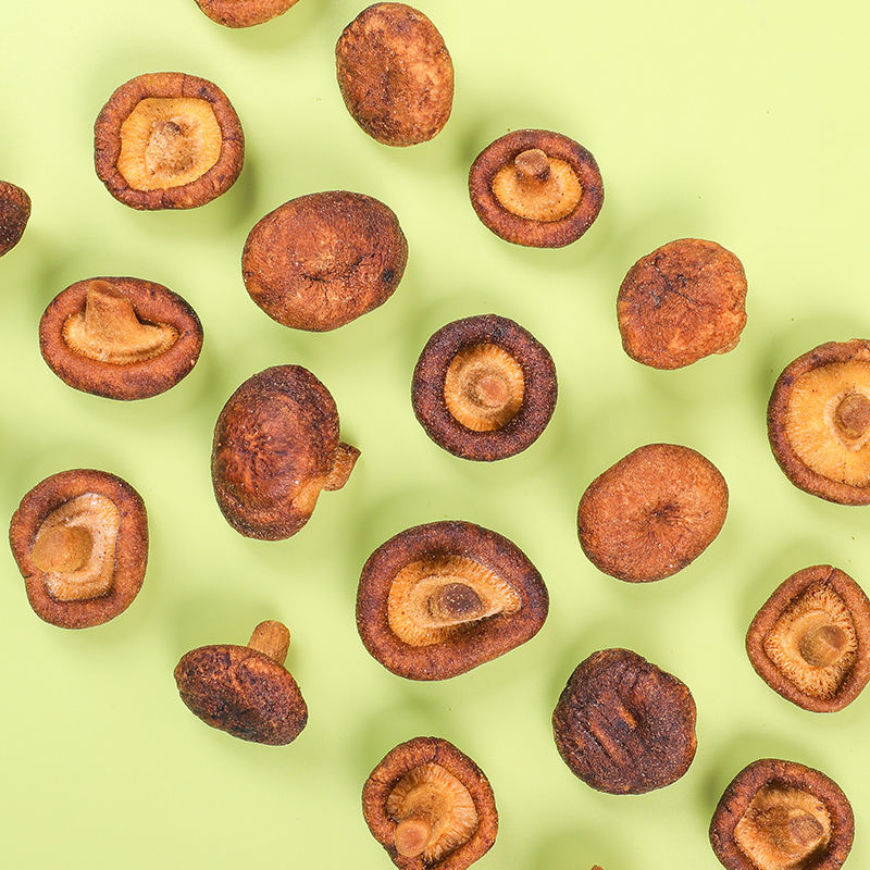 Vacuum fried shiitake mushroom slice detail showing natural gill structure and crispy interior