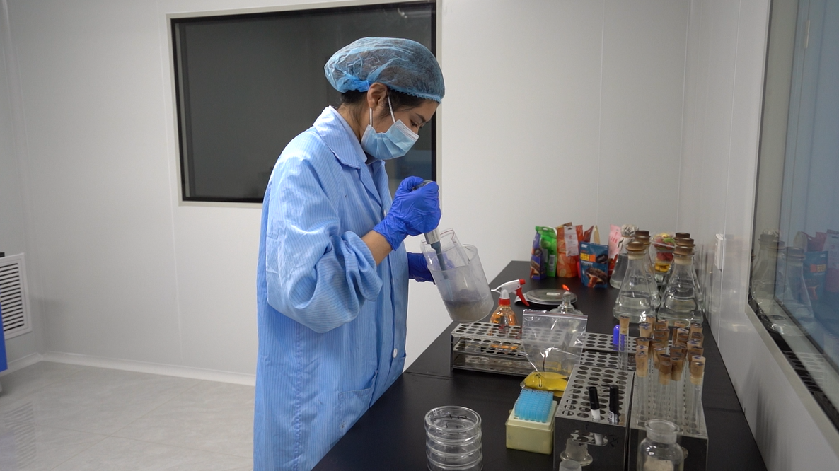 GuoJu Foods quality team auditing partner dehydrated carrot factory in Shandong
